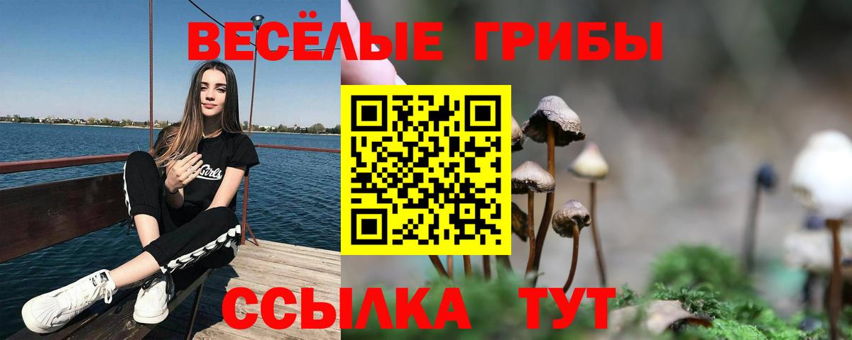 Псилоцибиновые грибы мицелий  Вход с VPN  Псилоцибиновые грибы Magic Shrooms  Саянск 